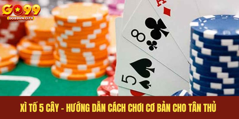 Xì tố 5 cây